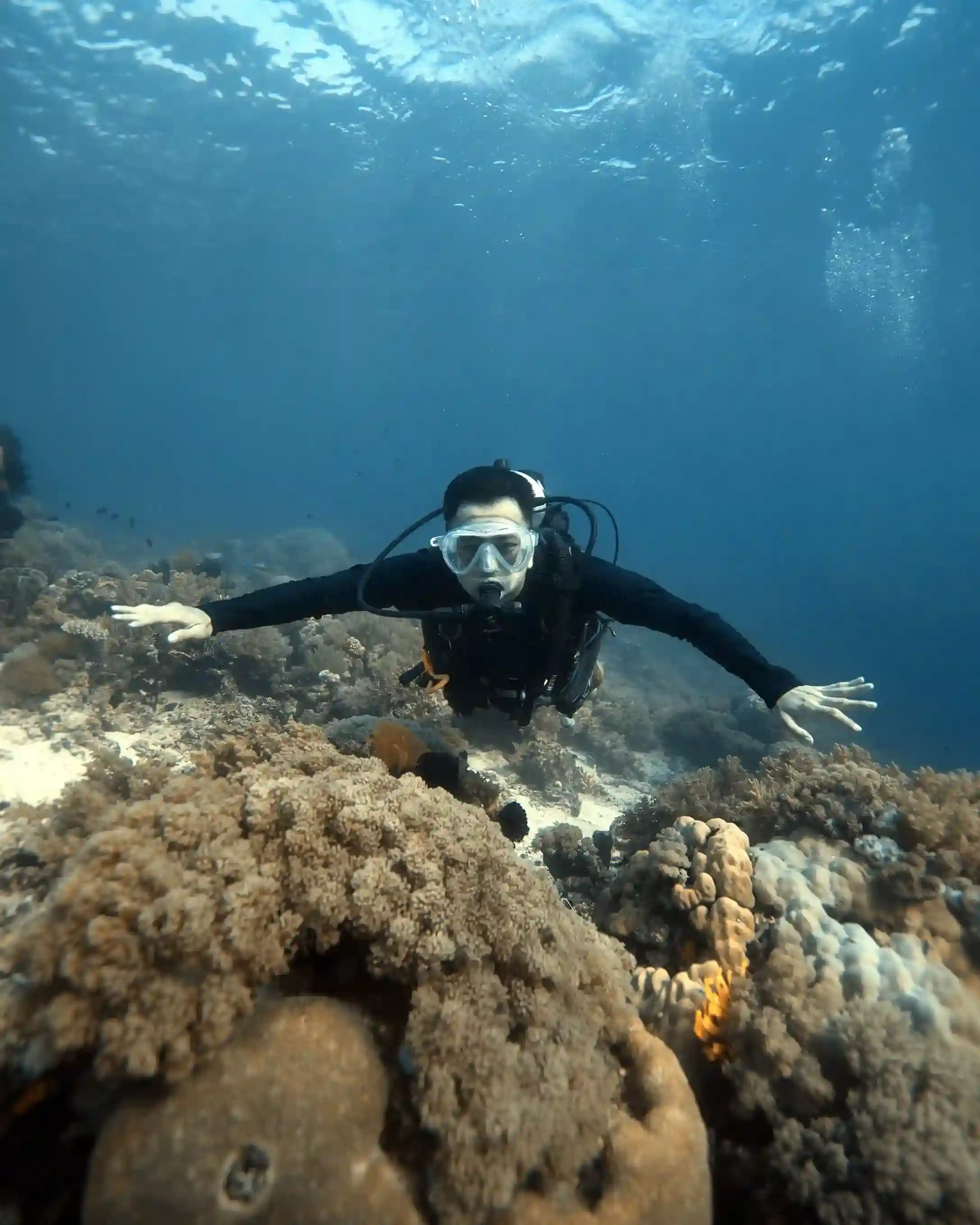Best Time Of Year To Book Phinisi Yacht Charter Komodo For Dry Season Diving