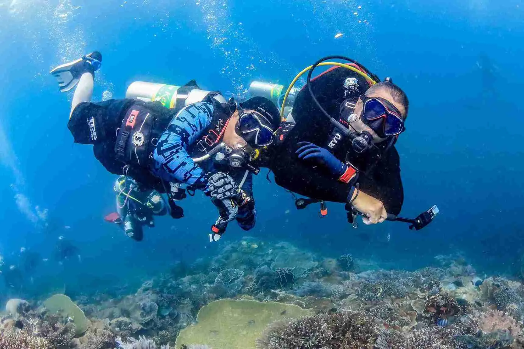 Komodo Luxury Phinisi Yacht Charter With Private Chef And Dive Master